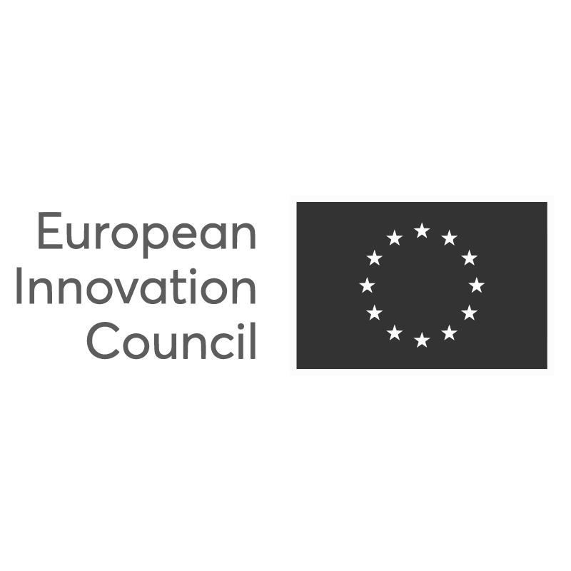 Logo European Innovation Council